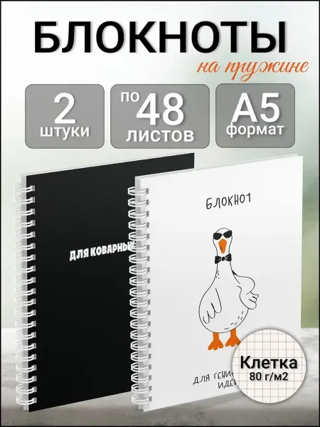 AXLER Блокноты в клетку для записей А5 на пружине 2 шт