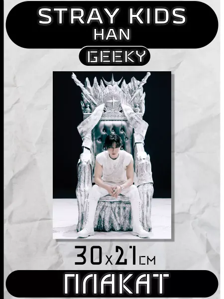 Stray kids Geeky Постеры Плакаты Stray kids Han Стрей Кидс Хан