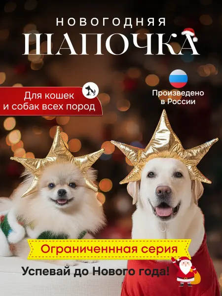 G-ELSE Новогодняя шапка для животных Звезда