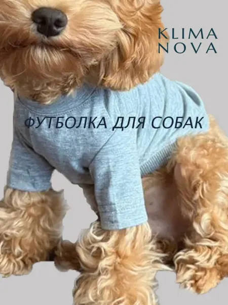 KLIMA NOVA Одежда для собак мелких пород Футболка