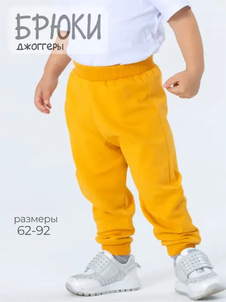 Linas Baby Брюки футер без начеса