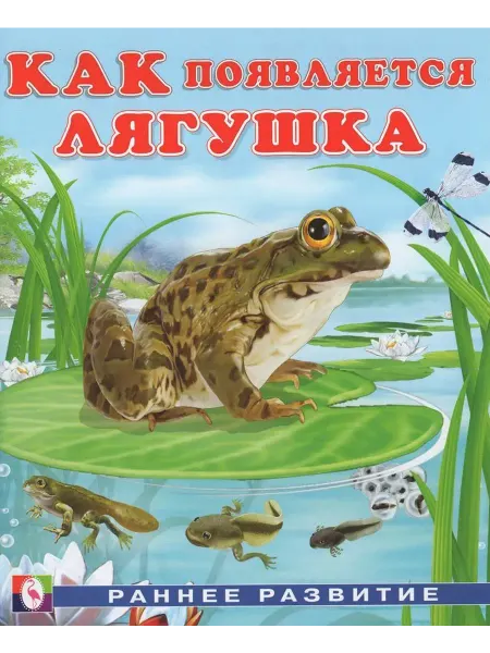 "Flamingo" Как появляется лягушка. Гурина И.В
