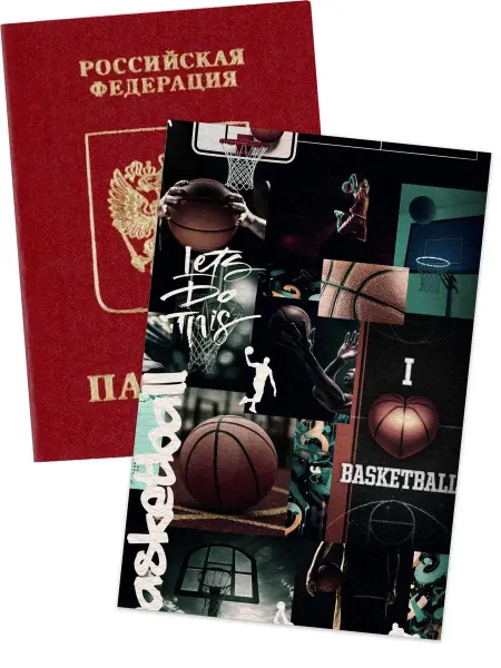 Banshee Чехол на паспорт basket ball