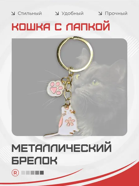 RemoveБрелок