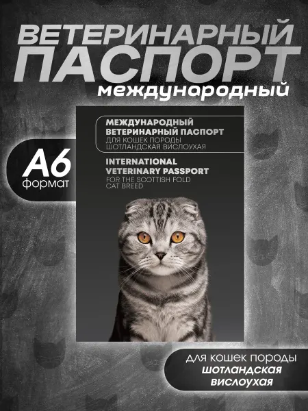 Bamboook Ветеринарный паспорт для кошек породы шотландская вислоухая