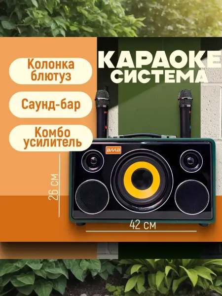 Нет бренда Караоке система BB-666 с двумя микрофонами беспроводная