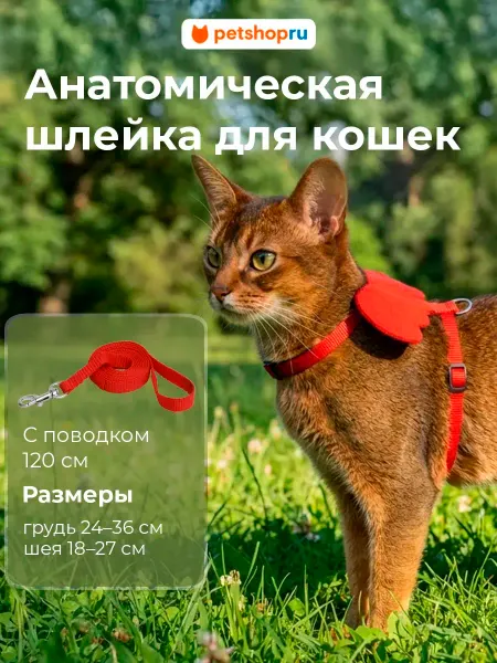 PetShop Шлейка с поводком для кошек с крыльями "Ангел", 24-36 см