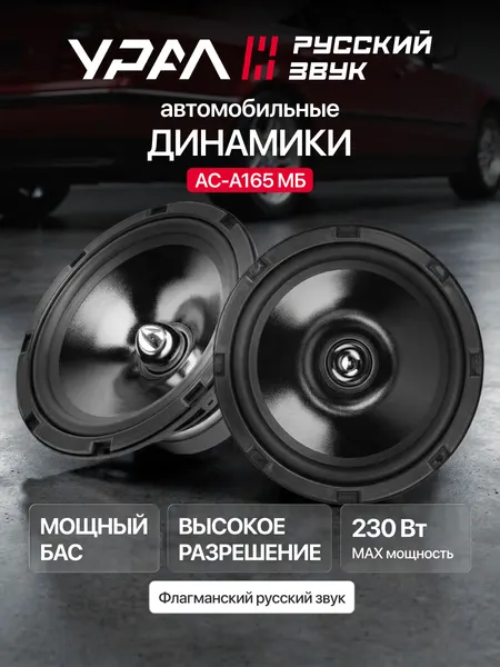 Колонки автомобильные Урал Авангард АС-А165МБ, 110Вт, 8500Гц, 4Ом, 93дБ, черная