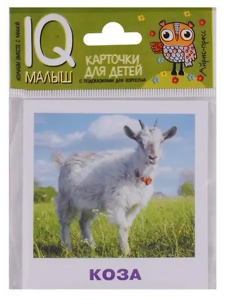 Книжный дом РФ Умный малыш. Домашние животные