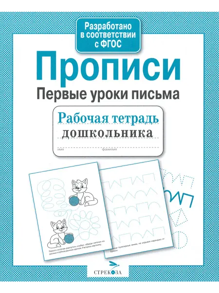 Стрекоза Прописи. Первые уроки письма. ФГОС