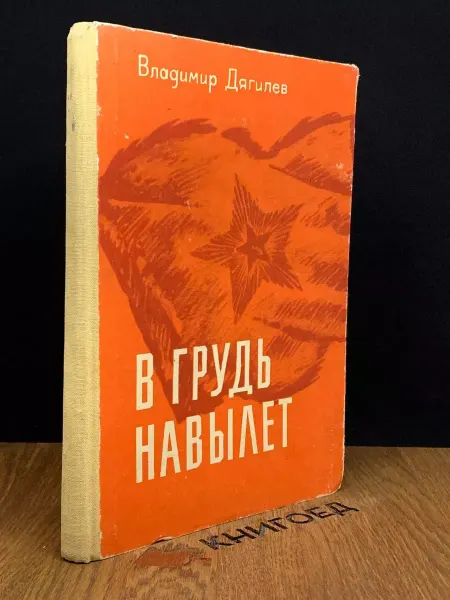 Детская литература В грудь навылет