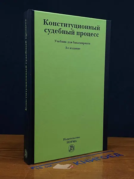 Издательство Инфра-м Конституционный судебный процесс. Учебник