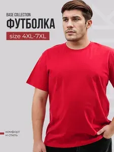 Футболка BIRLIKPAMUK BASIC Big size 1 шт