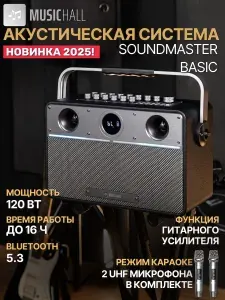 Акустическая система MusicHall SoundMaster Basic