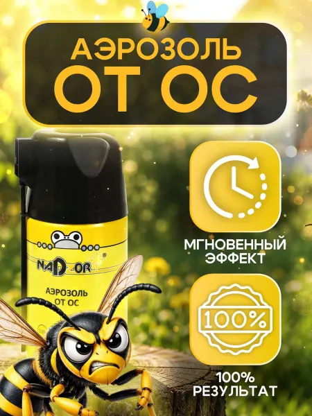 Инсектицидный аэрозоль 250 мл для уничтожения ос и шершней