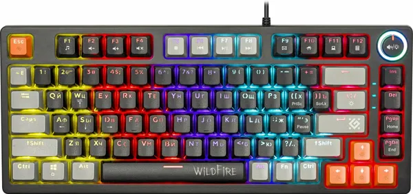 Клавиатура Defender GK-213 механическая черный/серый USB Multimedia for gamer LED (45213) кабель 1.5м