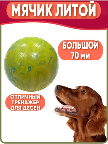 Triol Игрушки для собак, мяч большой Gamma