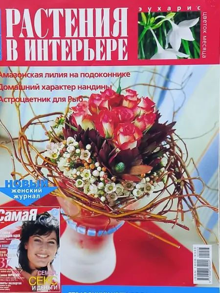 Растения в интерьере
