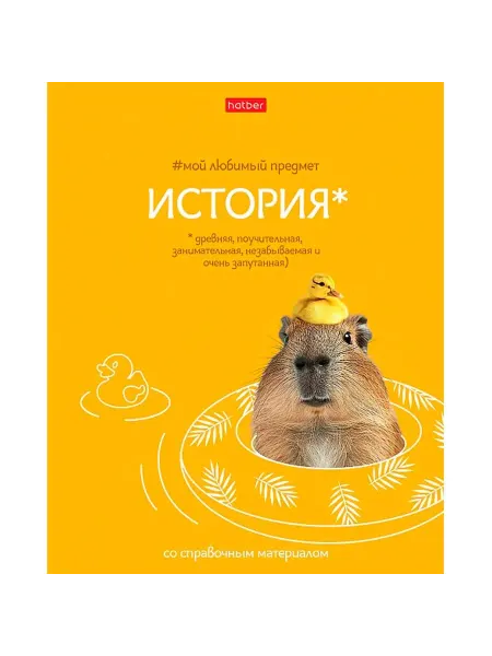 Hatber Тетрадь 48 листов с клеткой для истории, 1 шт