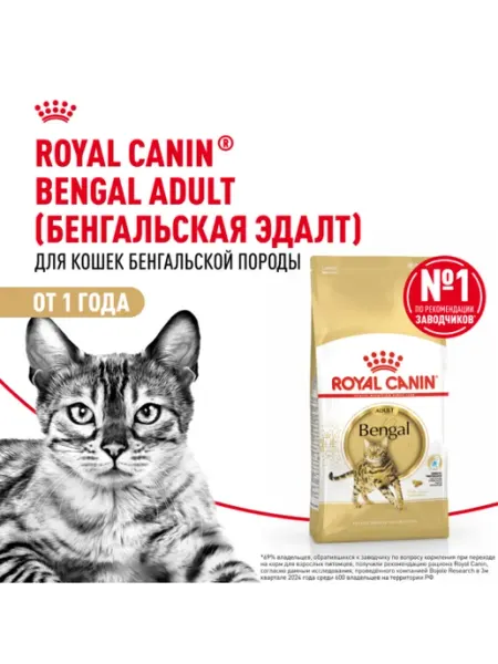 Royal Canin Bengal для кошек 10 кг