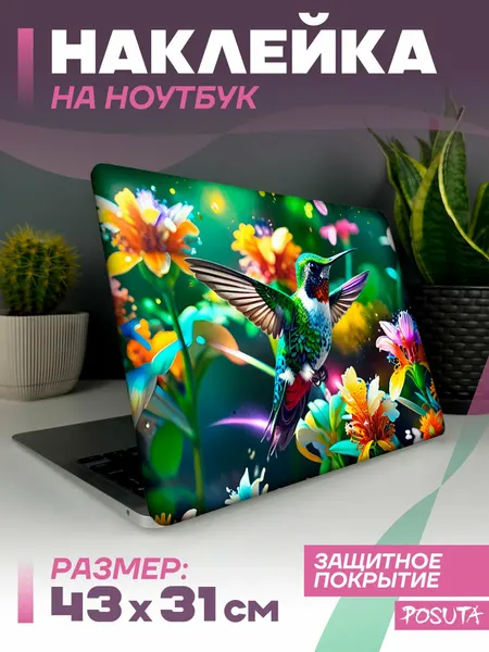Наклейка на ноутбук защитная колибри