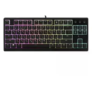 Razer Клавиатура Ornata V3 Tenkeyless Черный (RZ03-04881600-R3R1)