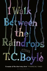 I Walk Between the Raindrops / Книга на Английском