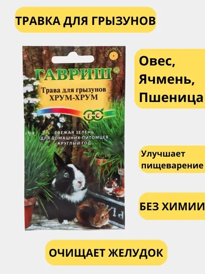 Семена. Трава для кошек, попугаев, грызунов