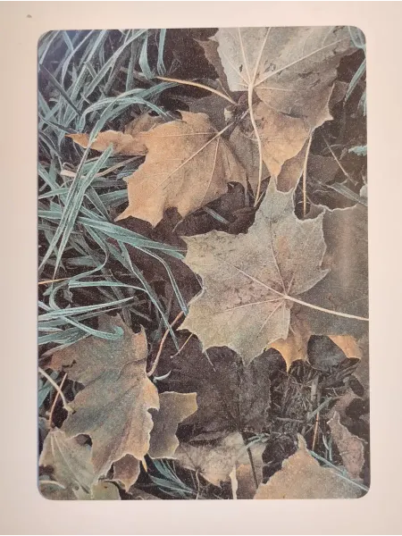 Пластиковый календарик СССР. 1991 год. Технопромэкспорт