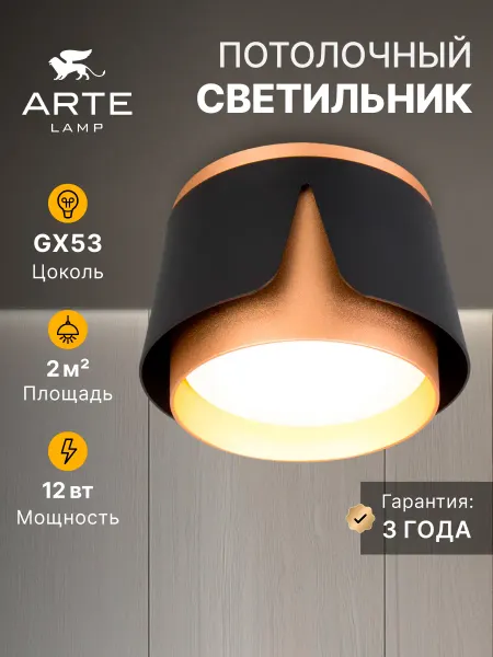 Arte Lamp Потолочный светильник AMAKS A8028PL-1BK