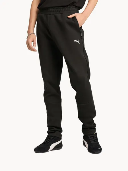 PUMAБрюки спортивные EVOSTRIPE