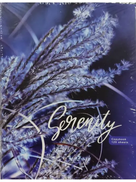 BG Тетрадь в клетку "Blue serenity", А5, 120 л. на кольцах