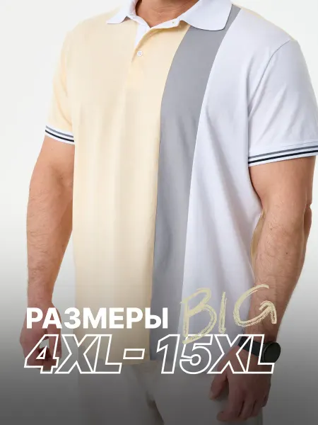 MR BIGMAN Футболка поло большие размеры