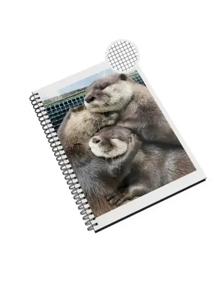 Каждому Своё Animals Блокнот в линейку А5 48л Милые Выдры Милая выдра Фея Love