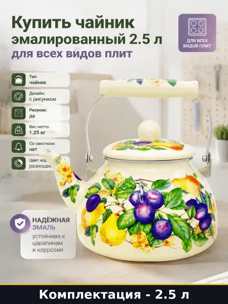 Купить чайник эмалированный 2.5 л для всех видов плит