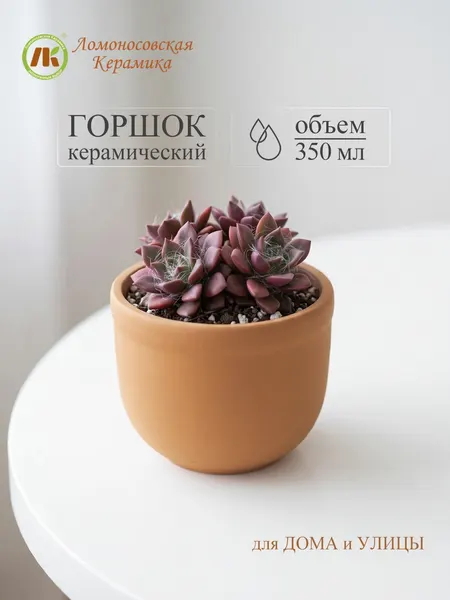 Горшок для цветов "Ломоносовский" (терракот) 350 мл, керамика