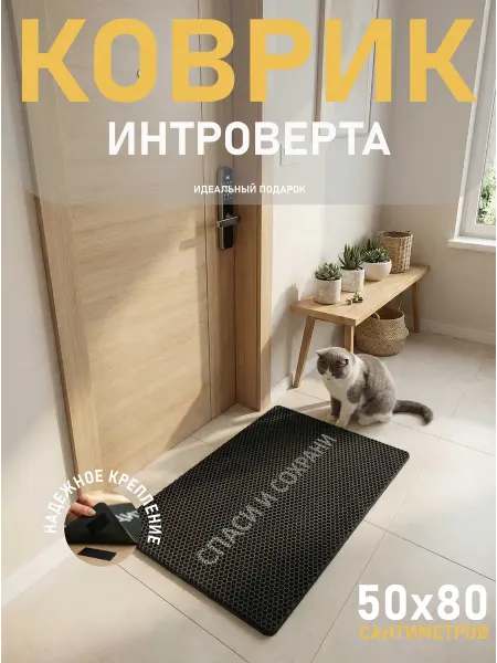 MaliX Коврик придверный в прихожую СПАСИ И СОХРАНИ