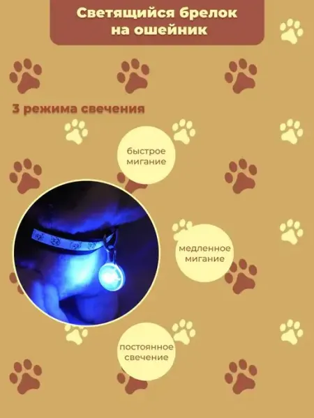 Ещё Светящийся брелок на ошейник
