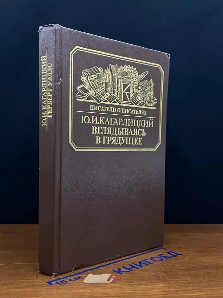 Книга Вглядываясь в грядущее — Писатели о писателях, публицистика