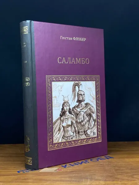 Вече Саламбо — классический роман