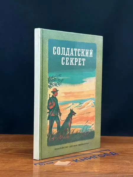 Детская литература Солдатский секрет