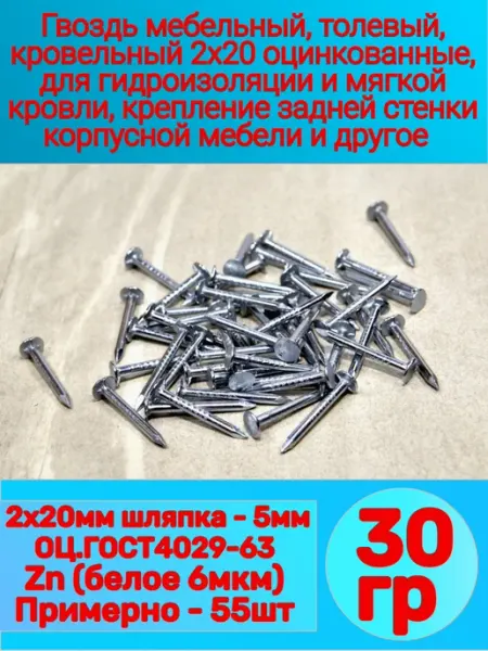 Речицкий метизный завод Гвоздь толевый 2,0х20 ОЦ (30 грамм), оцинкованные