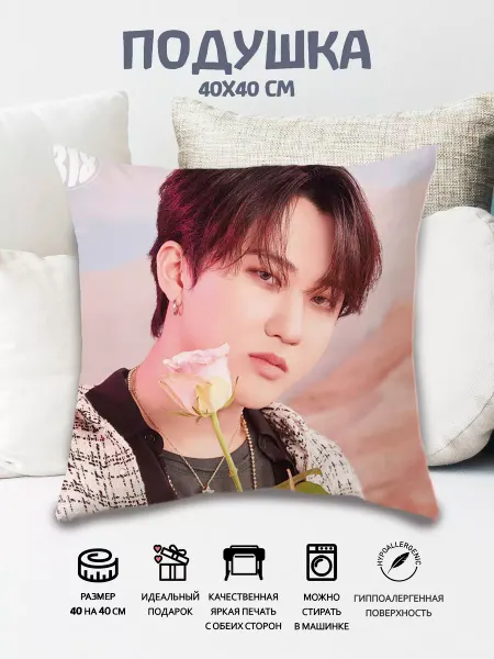 Подушка Stray Kids Чанбин 40x40