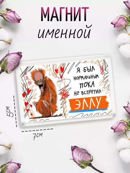 Chappay Магнит на холодильник Пока не встретил Эллу