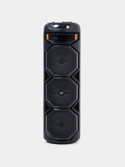 Караоке колонка Sing-e ZQS-8221, ZQS-8301, ZQS-8302, ZQS-8220S, Bluetooth, RGB, с микрофоном и пультом