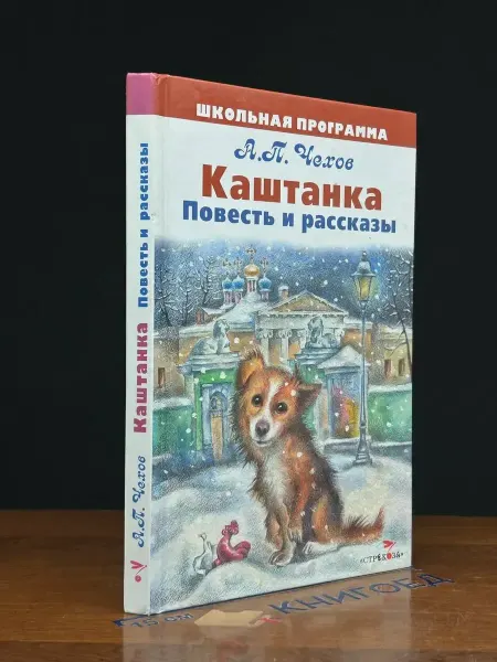 Стрекоза-Пресс Чехов Каштанка. Рассказы для детей — школьная программа