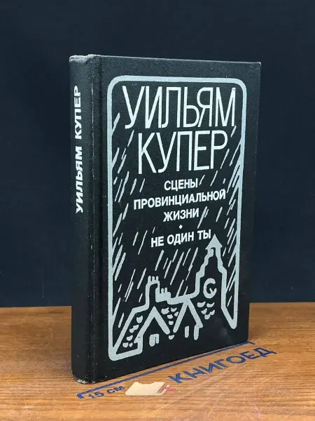 Прогресс Сцены провинциальной жизни. Не один ты