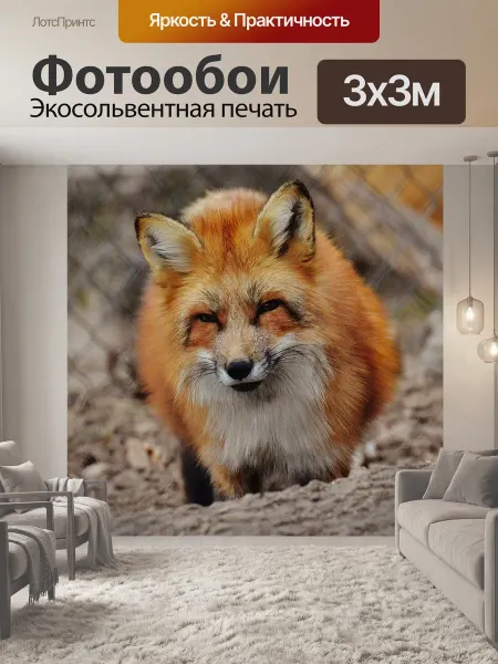 LotsPrints Фотообои "Лиса, wildpark poing, животное" 3x3м