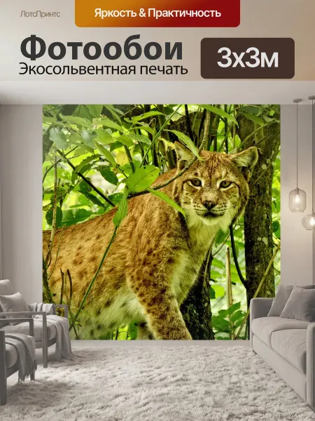 LotsPrints Фотообои "Рысь, дикий кот, большой кот" 3x3м