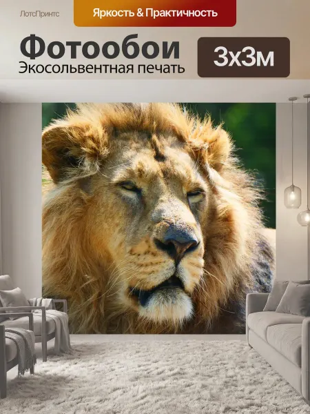 LotsPrints Фотообои "Лев, большой кот, животное" 3x3м